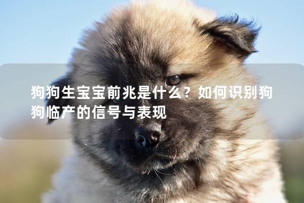 狗狗生寶寶前兆是什么?如何識別狗狗臨產(chǎn)的信號與表現(xiàn) 狗狗生寶寶前兆是什么?如何識別狗狗臨產(chǎn)的信號與表現(xiàn)