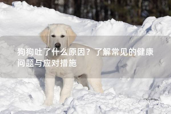 狗狗吐了什么原因？了解常見的健康問題與應(yīng)對措施