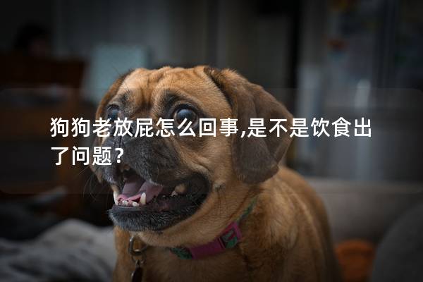 狗狗老放屁怎么回事,是不是飲食出了問題？