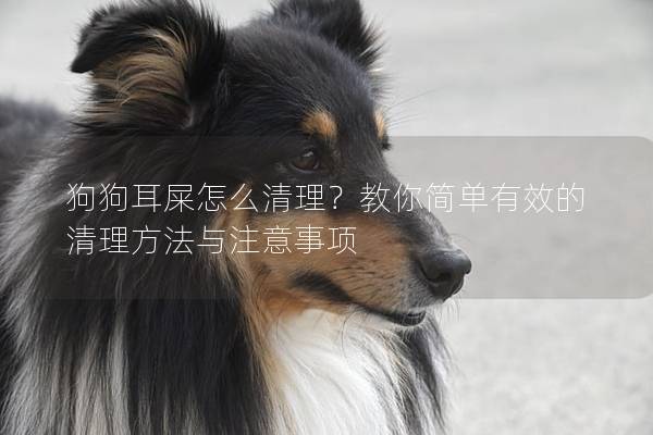 狗狗耳屎怎么清理？教你簡單有效的清理方法與注意事項(xiàng)