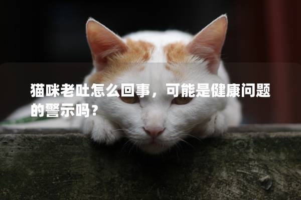貓咪老吐怎么回事，可能是健康問題的警示嗎？