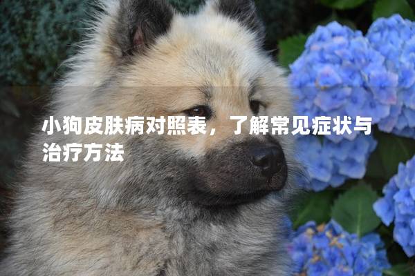 小狗皮膚病對照表,了解常見癥狀與治療方法 小狗皮膚病對照表,了解常見癥狀與治療方法