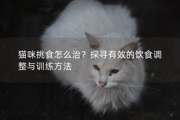 貓咪挑食怎么治？探尋有效的飲食調整與訓練方法