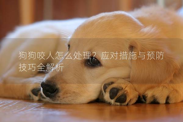狗狗咬人怎么處理？應對措施與預防技巧全解析