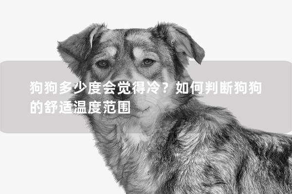 狗狗多少度會(huì)覺(jué)得冷？如何判斷狗狗的舒適溫度范圍