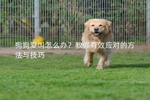狗狗愛叫怎么辦？教你有效應對的方法與技巧
