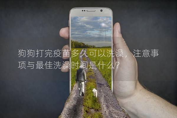 狗狗打完疫苗多久可以洗澡，注意事項與最佳洗澡時間是什么？