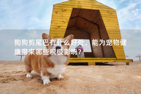 狗狗剪尾巴有什么好處，能為寵物健康帶來哪些積極影響？