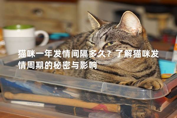 貓咪一年發情間隔多久？了解貓咪發情周期的秘密與影響
