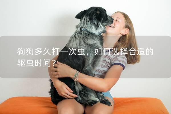 狗狗多久打一次蟲，如何選擇合適的驅蟲時間？