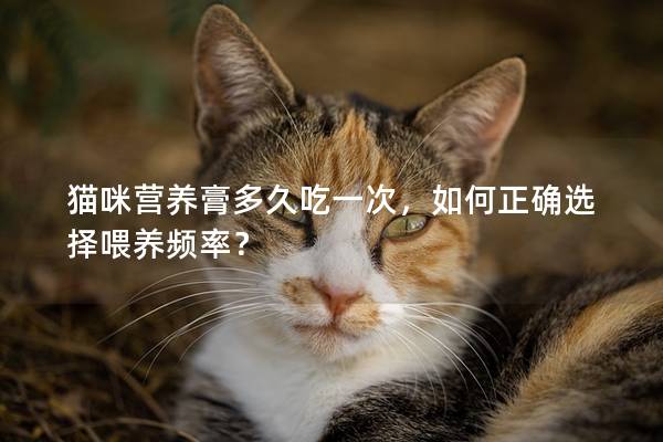 貓咪營養膏多久吃一次，如何正確選擇喂養頻率？