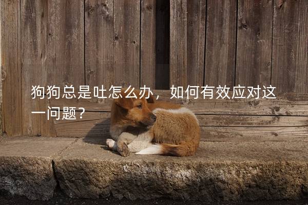 狗狗總是吐怎么辦，如何有效應(yīng)對這一問題？