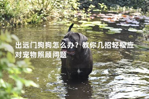 出遠(yuǎn)門狗狗怎么辦?教你幾招輕松應(yīng)對寵物照顧問題 出遠(yuǎn)門狗狗怎么辦?教你幾招輕松應(yīng)對寵物照顧問題