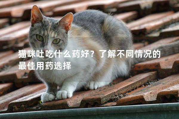 貓咪吐吃什么藥好？了解不同情況的最佳用藥選擇