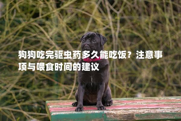 狗狗吃完驅(qū)蟲(chóng)藥多久能吃飯？注意事項(xiàng)與喂食時(shí)間的建議