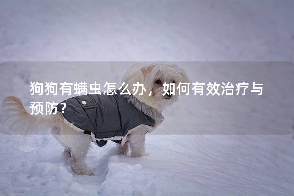 狗狗有螨蟲怎么辦，如何有效治療與預防？