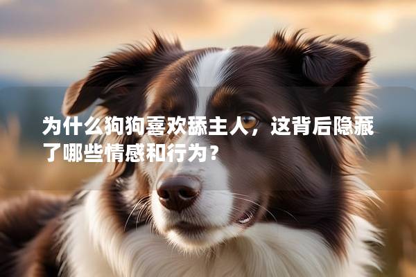 為什么狗狗喜歡舔主人，這背后隱藏了哪些情感和行為？