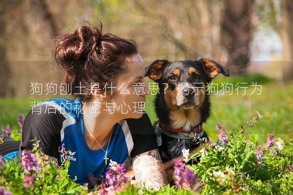 狗狗刨土是什么意思？揭示狗狗行為背后的秘密與心理