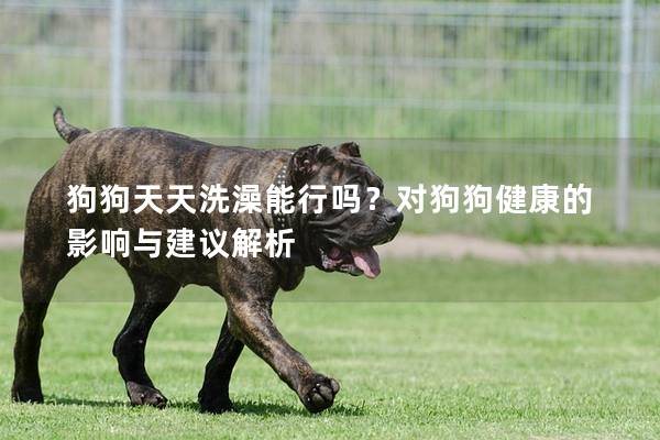 狗狗天天洗澡能行嗎？對狗狗健康的影響與建議解析