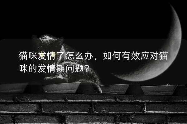 貓咪發(fā)情了怎么辦，如何有效應(yīng)對貓咪的發(fā)情期問題？