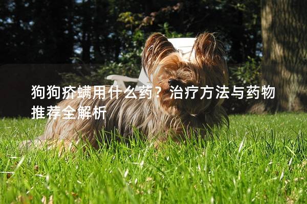 狗狗疥螨用什么藥？治療方法與藥物推薦全解析