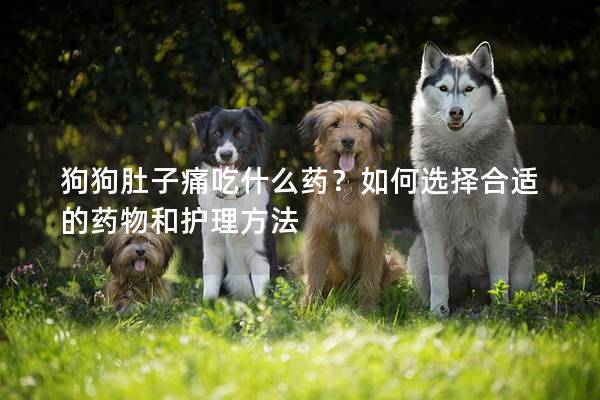 狗狗肚子痛吃什么藥？如何選擇合適的藥物和護理方法