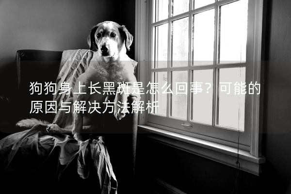 狗狗身上長黑斑是怎么回事？可能的原因與解決方法解析