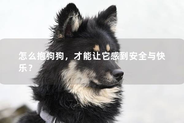 怎么抱狗狗，才能讓它感到安全與快樂？
