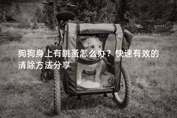 狗狗身上有跳蚤怎么辦？快速有效的清除方法分享