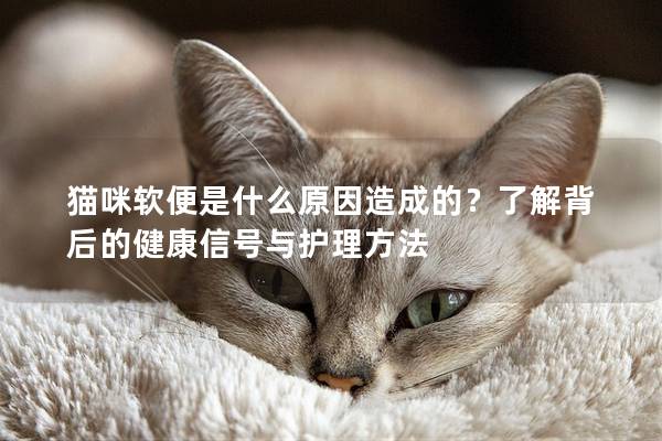 貓咪軟便是什么原因造成的？了解背后的健康信號與護理方法