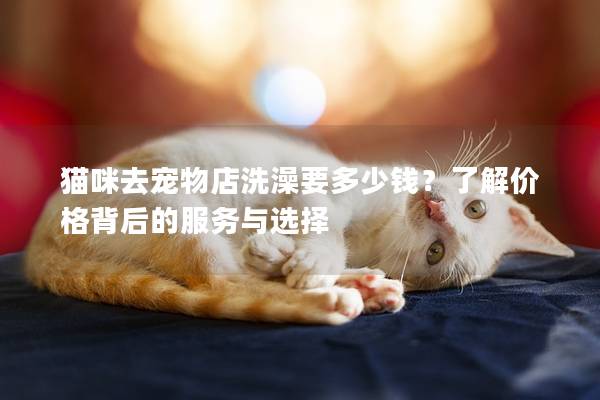 貓咪去寵物店洗澡要多少錢？了解價格背后的服務與選擇