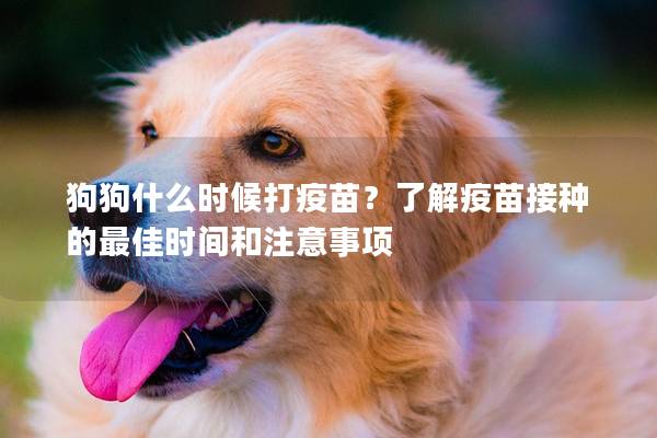 狗狗什么時(shí)候打疫苗？了解疫苗接種的最佳時(shí)間和注意事項(xiàng)