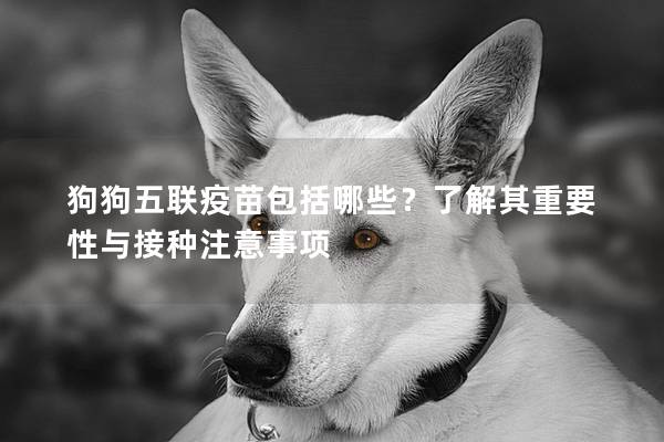 狗狗五聯疫苗包括哪些？了解其重要性與接種注意事項