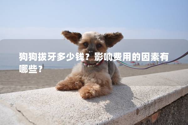 狗狗拔牙多少錢？影響費用的因素有哪些？