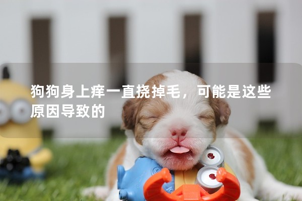 狗狗身上癢一直撓掉毛，可能是這些原因?qū)е碌? /></a></dt>
                        <dd>
                            <h2 class=