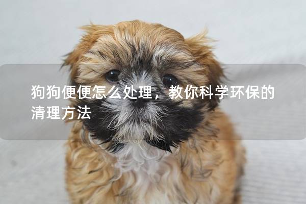 狗狗便便怎么處理，教你科學環保的清理方法