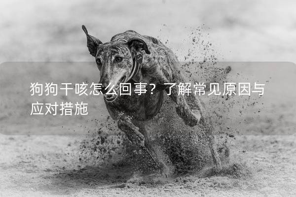 狗狗干咳怎么回事？了解常見原因與應對措施