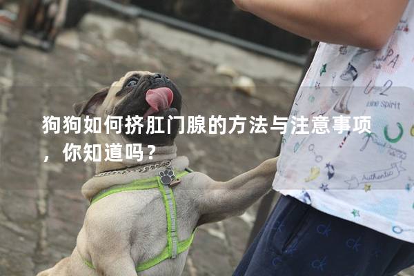 狗狗如何擠肛門腺的方法與注意事項(xiàng)，你知道嗎？