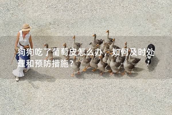 狗狗吃了葡萄皮怎么辦，如何及時(shí)處理和預(yù)防措施？