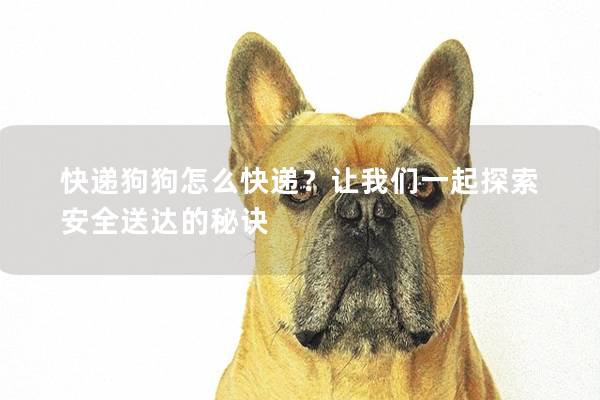 快遞狗狗怎么快遞？讓我們一起探索安全送達的秘訣
