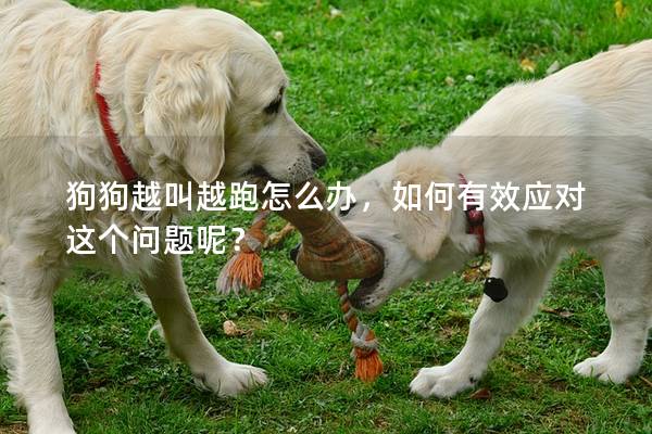 狗狗越叫越跑怎么辦，如何有效應對這個問題呢？