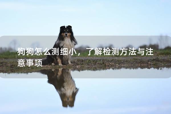 狗狗怎么測(cè)細(xì)小，了解檢測(cè)方法與注意事項(xiàng)
