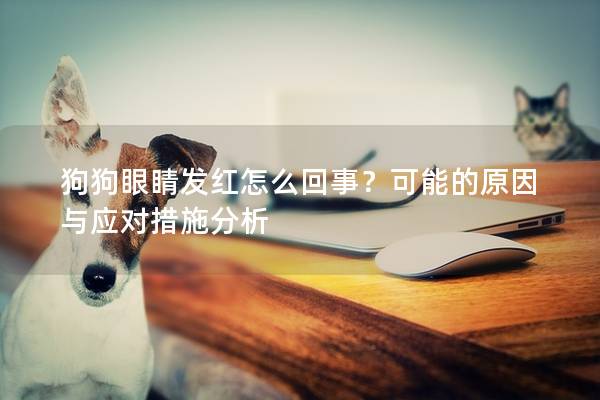 狗狗眼睛發紅怎么回事？可能的原因與應對措施分析