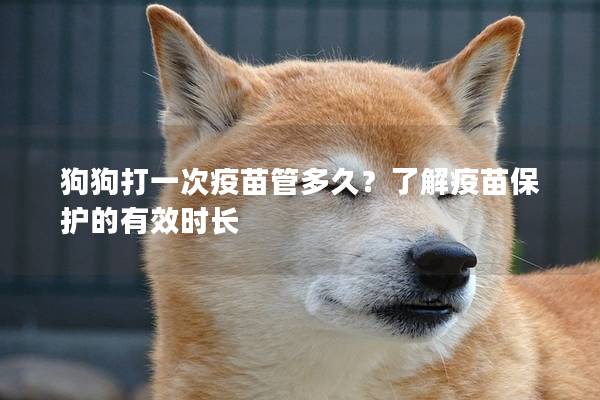 狗狗打一次疫苗管多久?了解疫苗保護(hù)的有效時(shí)長(zhǎng) 狗狗打一次疫苗管多久?了解疫苗保護(hù)的有效時(shí)長(zhǎng)