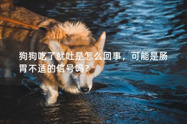 狗狗吃了就吐是怎么回事，可能是腸胃不適的信號(hào)嗎？