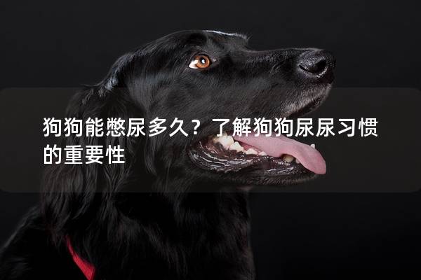 狗狗能憋尿多久？了解狗狗尿尿習(xí)慣的重要性