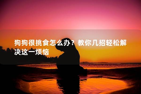 狗狗很挑食怎么辦？教你幾招輕松解決這一煩惱