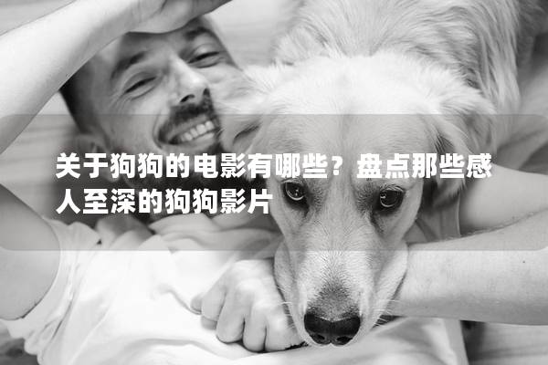 關(guān)于狗狗的電影有哪些？盤點那些感人至深的狗狗影片