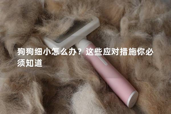 狗狗細小怎么辦？這些應對措施你必須知道