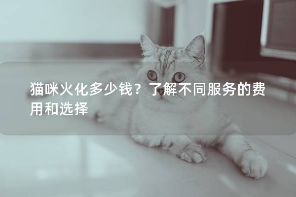 貓咪火化多少錢?了解不同服務(wù)的費用和選擇 貓咪火化多少錢?了解不同服務(wù)的費用和選擇